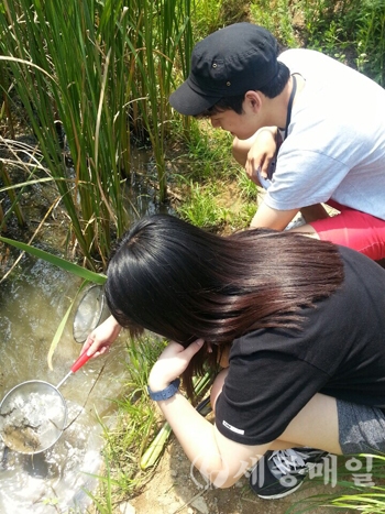 세종과학예술영재학교 학생들이 금강의 생태를 조사하고 있다.