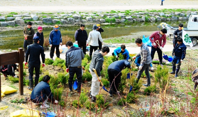 유재현 회장을 비롯한 회원 40여명 재민천에서 환경정화활동을 펼치고 있다.