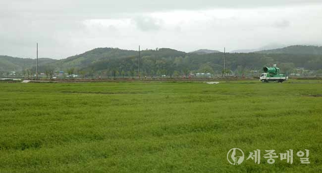 서천군 친환경 서래야 쌀 재배단지 모습.