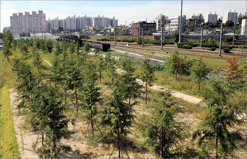 ▲구 강원연탄공장 부지에 도시 숲공원이 조성되고 있다.