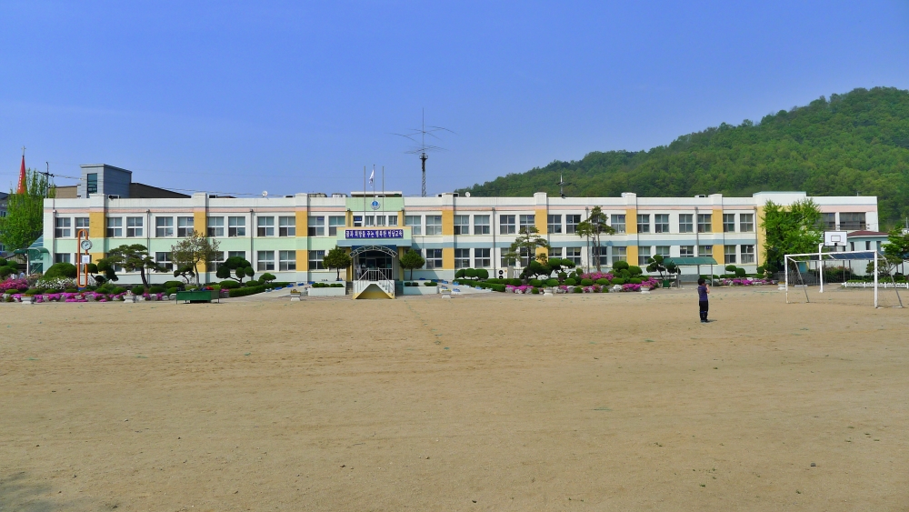 ▲연남초등학교 전경.