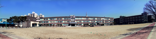   ▲조치원 교동초등학교 전경